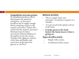 2. Sympathetic nervous system-
Its stimulation produces effects
that prepare the animal for
emergency e.g. Increased
heartbeat rate to supply enough
blood containing oxygen to the
muscles and remove carbon (IV)
oxide from the muscles, Increased
blood pressure for faster
movement of blood, Dilation of
the pupil to locate the enemy,
Closing of the sphincter muscles
of the anus and bladder and
conversion of glycogen into
glucose in the liver.
REFLEX ACTION.
 This is a rapid/ faster and
automatic/ involuntary response to a
stimulus.
 It is processed in the spinal cord not
in the brain.
 It helps protect the body
before the brain knows what is
going on.
Types of reflex action
a) Simple reflex action.
b) Conditioned reflex action.
25-Mar-21
59
© Sam obare
 