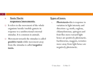 B. Taxis/Tactic
responses/movements.
 It refers to the movement of the whole
organism/motile/mobile gamete in
response to a unidirectional external
stimulus. It is common in animals.
 Movement towards the stimulus is called
positive taxis while movement away
from the stimulus is called negative
taxis.
Types of taxes.
1. Phototaxis-this is response to
variation in light intensity and
direction e.g. moth, euglena,
chlamydomonas, spirogyra and
fruit flies move toward light
hence are positively phototactic.
Earthworms, maggots, termites
move away from light hence are
negatively phototactic.
25-Mar-21
6
© Sam obare
 