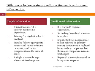 Differences between simple reflex action and conditioned
reflex action.
1. It is not learned/ it is
inborn/ requires no
experience.
2. Primary/ related stimulus is
involved.
3. Impulse follows appropriate
sensory and motor neurone
or sensory and motor
components are the same all
times.
4. A single stimulus brings
about a desired response.
1. It is learned/ requires
experience.
2. Secondary/ unrelated stimulus
is involved.
3. Impulse follows inappropriate
motor neurone or primary
sensory component is replaced
by secondary component but
the motor component remains
unchanged.
4. Repeated stimulus is needed to
bring about response.
25-Mar-21
64
© Sam obare
Simple reflex action Conditioned reflex action
 