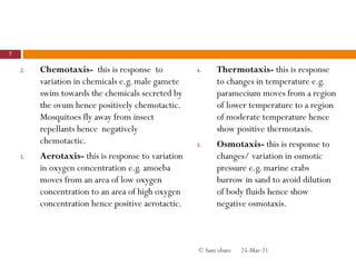 2. Chemotaxis- this is response to
variation in chemicals e.g. male gamete
swim towards the chemicals secreted by
the ovum hence positively chemotactic.
Mosquitoes fly away from insect
repellants hence negatively
chemotactic.
3. Aerotaxis- this is response to variation
in oxygen concentration e.g. amoeba
moves from an area of low oxygen
concentration to an area of high oxygen
concentration hence positive aerotactic.
4. Thermotaxis- this is response
to changes in temperature e.g.
paramecium moves from a region
of lower temperature to a region
of moderate temperature hence
show positive thermotaxis.
5. Osmotaxis- this is response to
changes/ variation in osmotic
pressure e.g. marine crabs
burrow in sand to avoid dilution
of body fluids hence show
negative osmotaxis.
25-Mar-21
7
© Sam obare
 