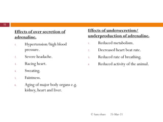 Effects of over secretion of
adrenaline.
1. Hypertension/high blood
pressure.
2. Severe headache.
3. Racing heart.
4. Sweating.
5. Faintness.
6. Aging of major body organs e.g.
kidney, heart and liver.
Effects of undersecretion/
underproduction of adrenaline.
1. Reduced metabolism.
2. Decreased heart beat rate.
3. Reduced rate of breathing.
4. Reduced activity of the animal.
25-Mar-21
72
© Sam obare
 