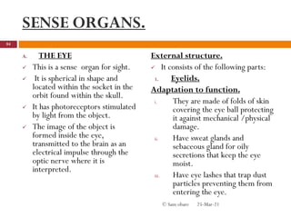 SENSE ORGANS.
A. THE EYE
 This is a sense organ for sight.
 It is spherical in shape and
located within the socket in the
orbit found within the skull.
 It has photoreceptors stimulated
by light from the object.
 The image of the object is
formed inside the eye,
transmitted to the brain as an
electrical impulse through the
optic nerve where it is
interpreted.
External structure.
 It consists of the following parts:
1. Eyelids.
Adaptation to function.
i. They are made of folds of skin
covering the eye ball protecting
it against mechanical /physical
damage.
ii. Have sweat glands and
sebaceous gland for oily
secretions that keep the eye
moist.
iii. Have eye lashes that trap dust
particles preventing them from
entering the eye.
25-Mar-21
84
© Sam obare
 