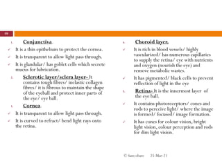 1. Conjunctiva.
 It is a thin epithelium to protect the cornea.
 It is transparent to allow light pass through.
 It is glandular/ has goblet cells which secrete
mucus for lubrication.
2. Sclerotic layer/sclera layer- It
contains tough fibres/ inelastic collagen
fibres/ it is fibrous to maintain the shape
of the eyeball and protect inner parts of
the eye/ eye ball.
3. Cornea.
 It is transparent to allow light pass through.
 It is curved to refract/ bend light rays onto
the retina.
4. Choroid layer.
 It is rich in blood vessels/ highly
vascularized/ has numerous capillaries
to supply the retina/ eye with nutrients
and oxygen (nourish the eye) and
remove metabolic wastes.
 It has pigmented/ black cells to prevent
reflection of light in the eye
5. Retina- It is the innermost layer of
the eye ball.
 It contains photoreceptors/ cones and
rods to perceive light/ where the image
is formed/ focused/ image formation.
 It has cones for colour vision, bright
light vision, colour perception and rods
for dim light vision.
25-Mar-21
88
© Sam obare
 