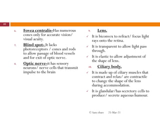 6. Fovea centralis-Has numerous
cones only for accurate vision/
visual acuity.
7. Blind spot- It lacks
photoreceptors / cones and rods
to allow passage of blood vessels
and for exit of optic nerve.
8. Optic nerve-it has sensory
neurons/ nerve cells that transmit
impulse to the brain
9. Lens.
 It is biconvex to refract/ focus light
rays onto the retina.
 It is transparent to allow light pass
through.
 It is elastic to allow adjustment of
the shape of lens.
10. Ciliary body.
 It is made up of ciliary muscles that
contract and relax/ are contractile
to change the shape of the lens
during accommodation.
 It is glandular/has secretory cells to
produce/ secrete aqueous humour.
25-Mar-21
89
© Sam obare
 