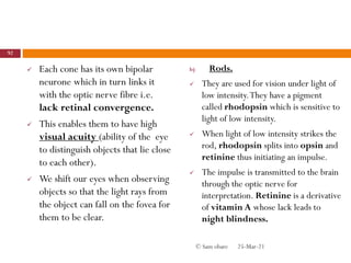  Each cone has its own bipolar
neurone which in turn links it
with the optic nerve fibre i.e.
lack retinal convergence.
 This enables them to have high
visual acuity (ability of the eye
to distinguish objects that lie close
to each other).
 We shift our eyes when observing
objects so that the light rays from
the object can fall on the fovea for
them to be clear.
b) Rods.
 They are used for vision under light of
low intensity.They have a pigment
called rhodopsin which is sensitive to
light of low intensity.
 When light of low intensity strikes the
rod, rhodopsin splits into opsin and
retinine thus initiating an impulse.
 The impulse is transmitted to the brain
through the optic nerve for
interpretation. Retinine is a derivative
of vitamin A whose lack leads to
night blindness.
25-Mar-21
92
© Sam obare
 