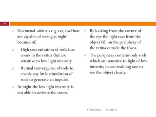  Nocturnal animals e.g. cat, owl have
are capable of seeing at night
because of;
i) High concentration of rods than
cones in the retina that are
sensitive to low light intensity.
ii) Retinal convergence of rods to
enable any little stimulation of
rods to generate an impulse.
 At night the low light intensity is
not able to activate the cones.
 By looking from the corner of
the eye the light rays from the
object fall on the periphery of
the retina outside the fovea.
 The periphery contains only rods
which are sensitive to light of low
intensity hence enabling one to
see the object clearly.
25-Mar-21
94
© Sam obare
 