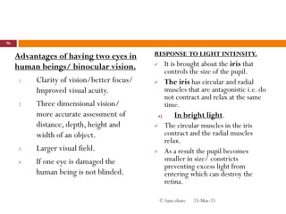 Advantages of having two eyes in
human beings/ binocular vision.
1. Clarity of vision/better focus/
Improved visual acuity.
2. Three dimensional vision/
more accurate assessment of
distance, depth, height and
width of an object.
3. Larger visual field.
4. If one eye is damaged the
human being is not blinded.
RESPONSE TO LIGHT INTENSITY.
 It is brought about the iris that
controls the size of the pupil.
 The iris has circular and radial
muscles that are antagonistic i.e. do
not contract and relax at the same
time.
a) In bright light.
 The circular muscles in the iris
contract and the radial muscles
relax.
 As a result the pupil becomes
smaller in size/ constricts
preventing excess light from
entering which can destroy the
retina.
25-Mar-21
96
© Sam obare
 