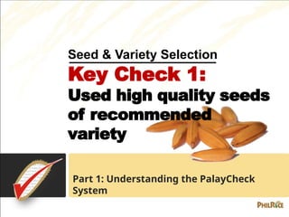 Palaycheck System.pdf 3.2 Seed and Variety Selection_Key Check 1.ppsx