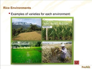 3.2 Seed and Variety Selection_Key Check 1.ppsx