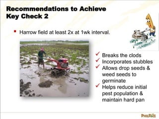 3.3 Land Preparation_Key Check two.ppsx