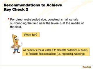 3.3 Land Preparation_Key Check two.ppsx