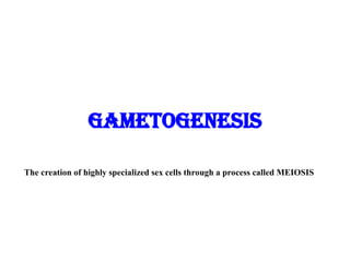 Gametogenesis
The creation of highly specialized sex cells through a process called MEIOSIS
 