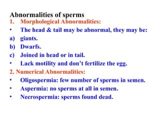 Abnormalities of sperms
1. Morphological Abnormalities:
• The head & tail may be abnormal, they may be:
a) giants.
b) Dwarfs.
c) Joined in head or in tail.
• Lack motility and don’t fertilize the egg.
2. Numerical Abnormalities:
• Oligospermia: few number of sperms in semen.
• Aspermia: no sperms at all in semen.
• Necrospermia: sperms found dead.
 