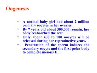 Oogenesis
• A normal baby girl had about 2 million
primary oocytes in her ovaries.
• By 7 years old about 300,000 remain, her
body reabsorbed the rest.
• Only about 400 to 500 oocytes will be
released during her reproductive years.
• Penetration of the sperm induces the
secondary oocyte and the first polar body
to complete meiosis II.
 