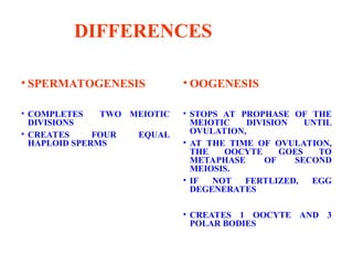 DIFFERENCES
• SPERMATOGENESIS
• COMPLETES TWO MEIOTIC
DIVISIONS
• CREATES FOUR EQUAL
HAPLOID SPERMS
• OOGENESIS
• STOPS AT PROPHASE OF THE
MEIOTIC DIVISION UNTIL
OVULATION,
• AT THE TIME OF OVULATION,
THE OOCYTE GOES TO
METAPHASE OF SECOND
MEIOSIS.
• IF NOT FERTLIZED, EGG
DEGENERATES
• CREATES 1 OOCYTE AND 3
POLAR BODIES
 