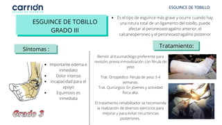 ESGUINCE DE TOBILLO
Remitir al traumatólogo preferente para
revisión, previa inmovilización con férula de
yeso
Trat. Ortopédico: Férula de yeso 3-4
semanas.
Trat. Quirúrgico: En jóvenes y actividad
física alta.
El tratamiento rehabilitador se recomienda
la realización de diversos ejercicios para
mejorar y para evitar recurrencias
posteriores.
ESGUINCE DE TOBILLO
GRADO III
Es el tipo de esguince más grave y ocurre cuando hay
una rotura total de un ligamento del tobillo, puede
afectar al peroneoastragalino anterior, el
calcaneoperoneo y el peroneoastragalino posterior
Síntomas :
Tratamiento:
Importante edema e
inmediato
Dolor intenso
Incapacidad para el
apoyo
Equimosis es
inmediata
 