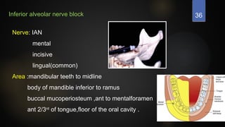 36
Inferior alveolar nerve block
Nerve: IAN
mental
incisive
lingual(common)
Area :mandibular teeth to midline
body of mandible inferior to ramus
buccal mucoperiosteum ,ant to mentalforamen
ant 2/3rd
of tongue,floor of the oral cavity .
 