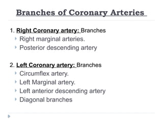 Branches of Coronary Arteries
1. Right Coronary artery: Branches
 Right marginal arteries.
 Posterior descending artery
2. Left Coronary artery: Branches
 Circumflex artery.
 Left Marginal artery.
 Left anterior descending artery
 Diagonal branches
 