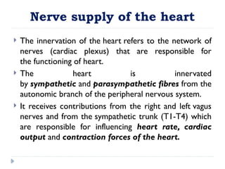 Nerve supply of the heart
 The innervation of the heart refers to the network of
nerves (cardiac plexus) that are responsible for
the functioning of heart.
 The heart is innervated
by sympathetic and parasympathetic fibres from the
autonomic branch of the peripheral nervous system.
 It receives contributions from the right and left vagus
nerves and from the sympathetic trunk (T1-T4) which
are responsible for influencing heart rate, cardiac
output and contraction forces of the heart.
 
