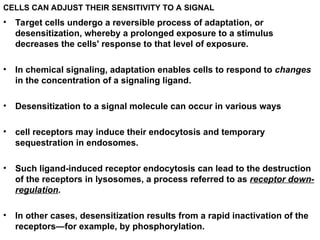 3. LECTURE- 9-1- RECEPTOR MECHANISMS.ppt