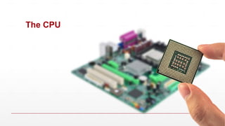 The CPU
 