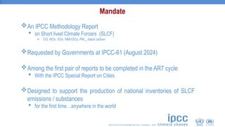 An IPCC Methodology Report
 on Short lived Climate Forcers (SLCF)
 CO, NOx, SOx, NMVOCs, PM1.0, black carbon
Requested...