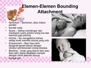 3. Respon orang tua terhadap bayi baru lahir--.ppt