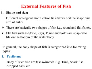 3. Anatomy of fish - Morphology features.pdf