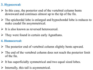 3. Anatomy of fish - Morphology features.pdf
