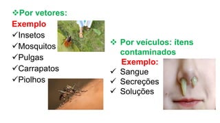 Por vetores:
Exemplo
Insetos
Mosquitos
Pulgas
Carrapatos
Piolhos
 Por veículos: ítens
contaminados
Exemplo:
 Sangue
 Secreções
 Soluções
 