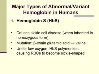 3. HAEMOGLOBIN.ppt digjenfjejdfkekfjejjfjejre | PPT