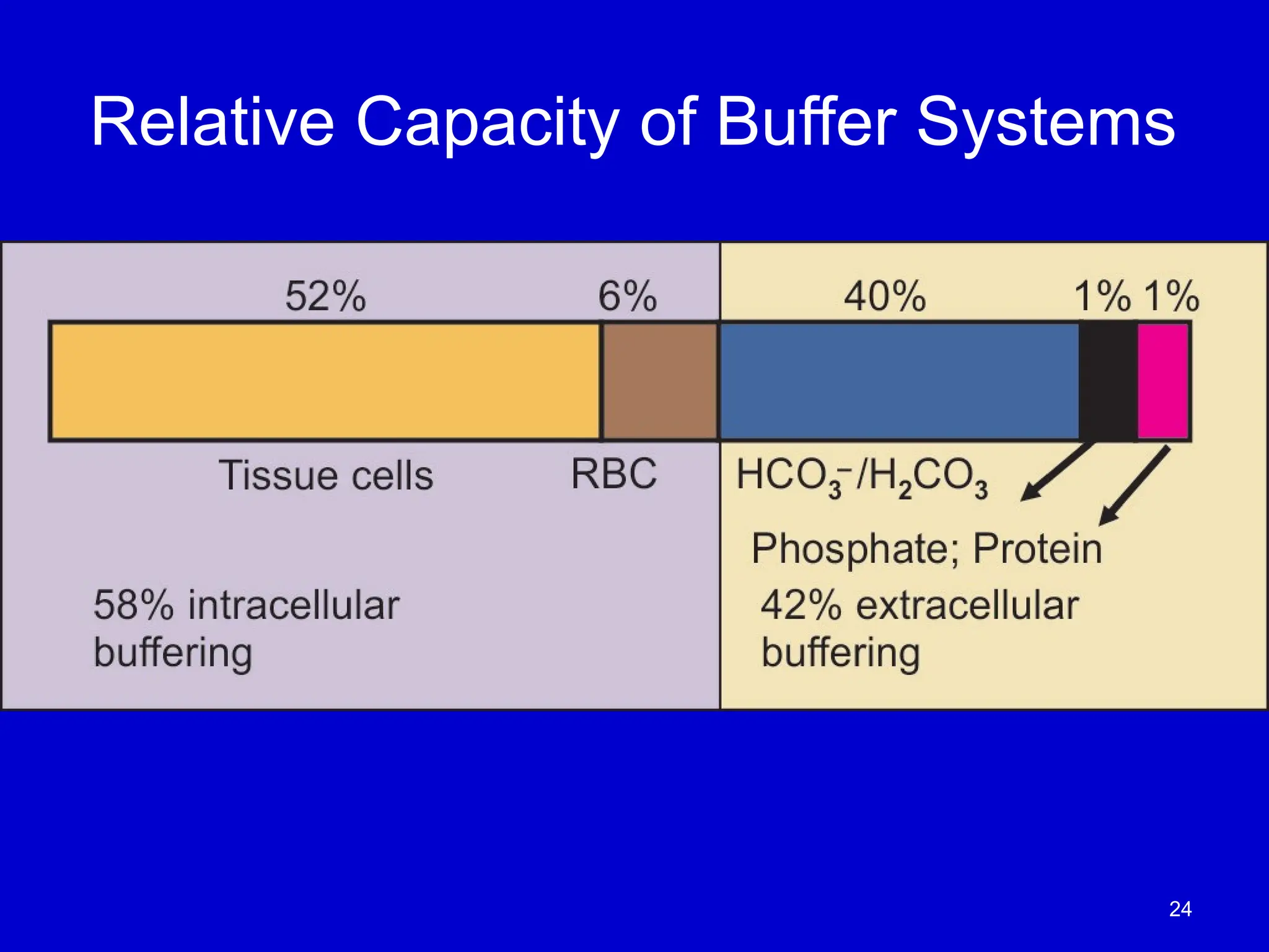 24
Relative Capacity of Buffer Systems
 