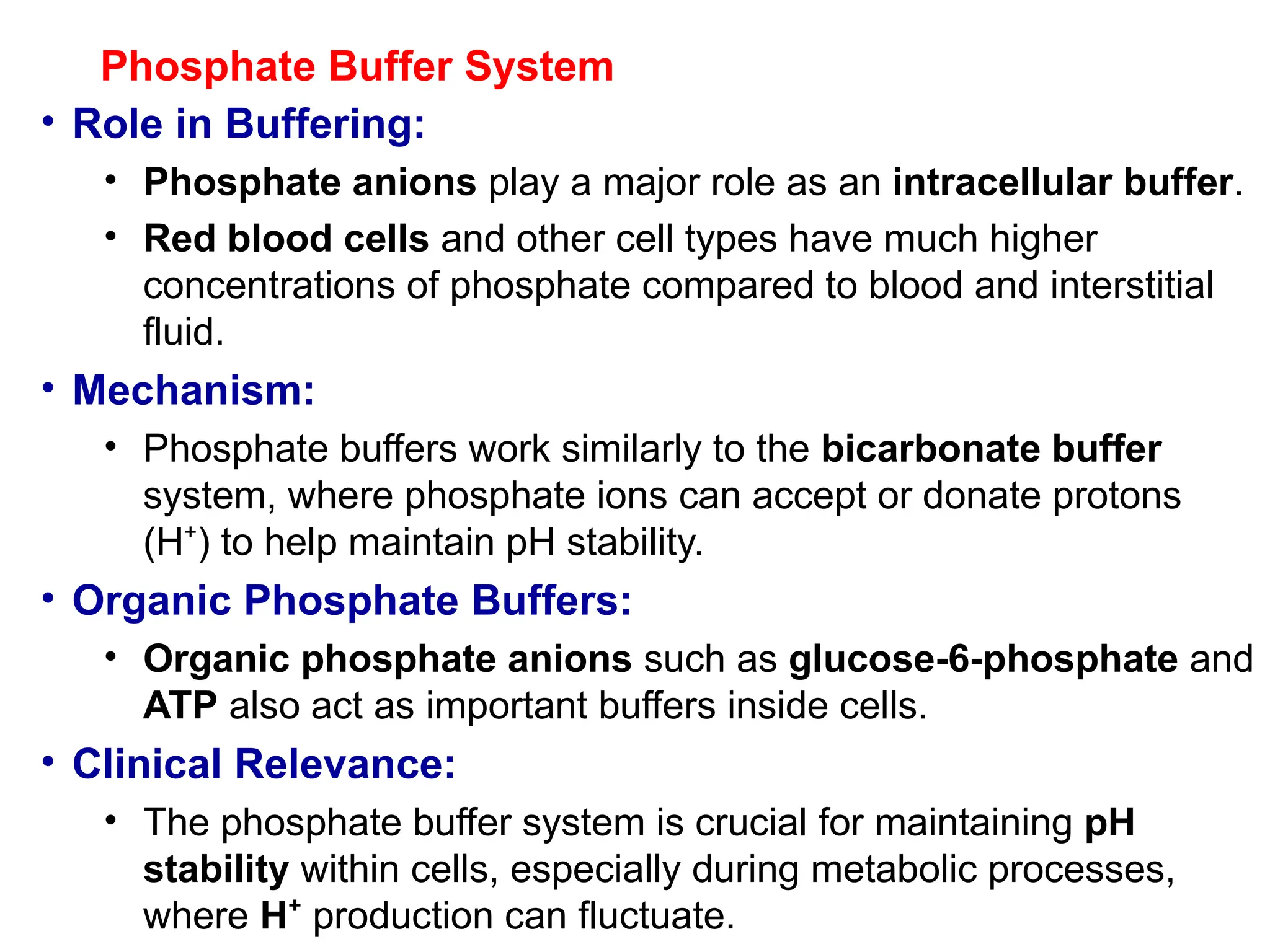 Phosphate Buffer System
• Role in Buffering:
• Phosphate anions play a major role as an intracellular buffer.
• Red blood cells and other cell types have much higher
concentrations of phosphate compared to blood and interstitial
fluid.
• Mechanism:
• Phosphate buffers work similarly to the bicarbonate buffer
system, where phosphate ions can accept or donate protons
(H ) to help maintain pH stability.
⁺
• Organic Phosphate Buffers:
• Organic phosphate anions such as glucose-6-phosphate and
ATP also act as important buffers inside cells.
• Clinical Relevance:
• The phosphate buffer system is crucial for maintaining pH
stability within cells, especially during metabolic processes,
where H⁺ production can fluctuate.
 