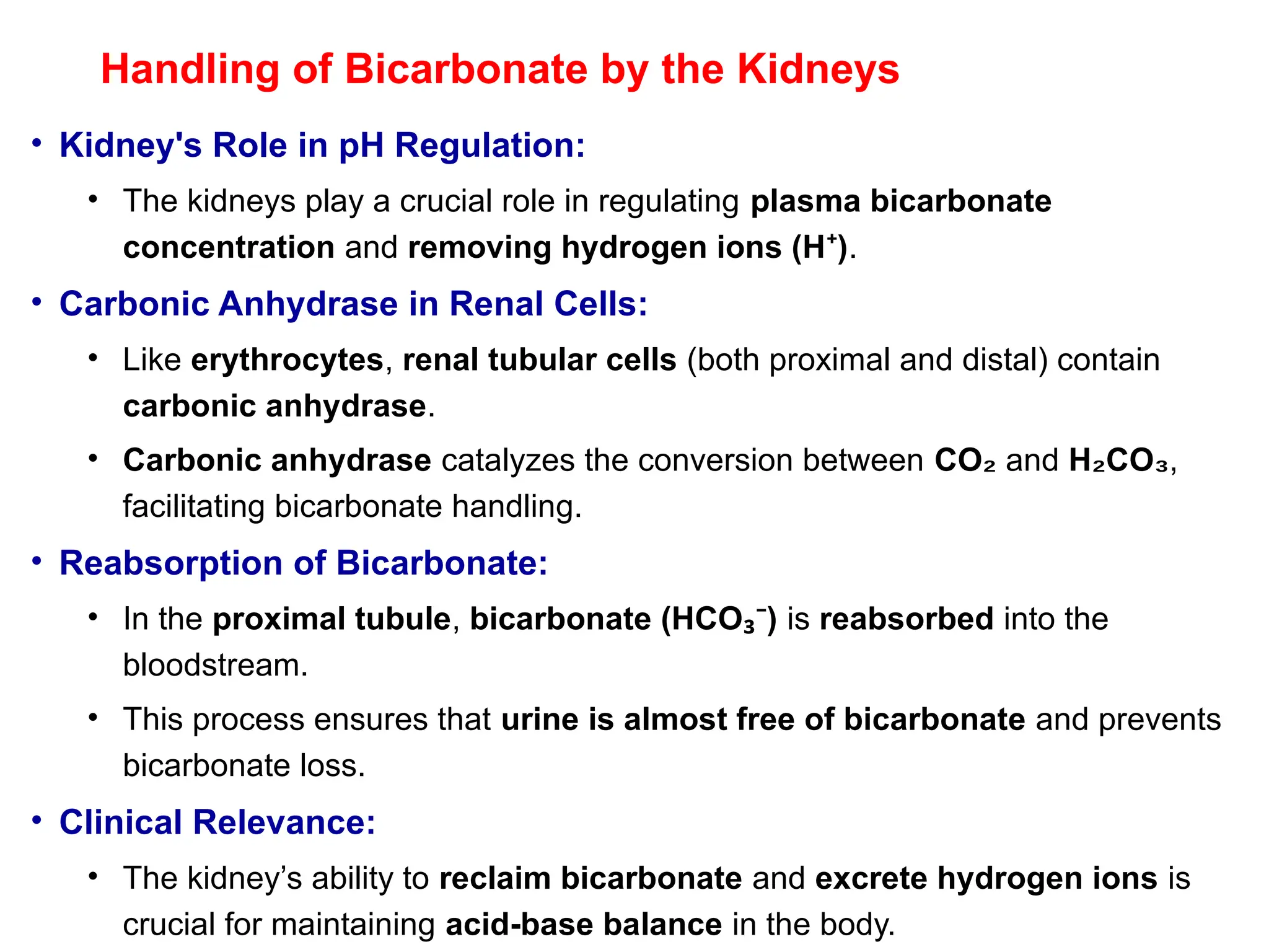 Handling of Bicarbonate by the Kidneys
• Kidney's Role in pH Regulation:
• The kidneys play a crucial role in regulating plasma bicarbonate
concentration and removing hydrogen ions (H )
⁺ .
• Carbonic Anhydrase in Renal Cells:
• Like erythrocytes, renal tubular cells (both proximal and distal) contain
carbonic anhydrase.
• Carbonic anhydrase catalyzes the conversion between CO₂ and H CO
₂ ₃,
facilitating bicarbonate handling.
• Reabsorption of Bicarbonate:
• In the proximal tubule, bicarbonate (HCO )
₃⁻ is reabsorbed into the
bloodstream.
• This process ensures that urine is almost free of bicarbonate and prevents
bicarbonate loss.
• Clinical Relevance:
• The kidney’s ability to reclaim bicarbonate and excrete hydrogen ions is
crucial for maintaining acid-base balance in the body.
 