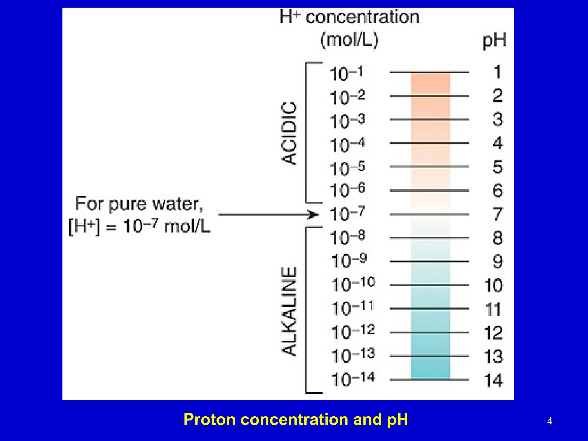 4
Proton concentration and pH
 