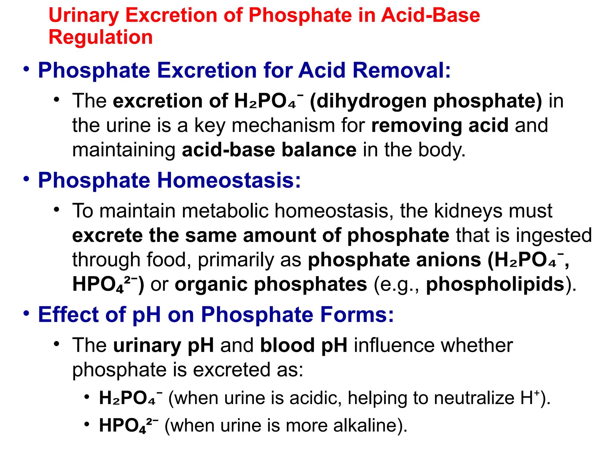 Urinary Excretion of Phosphate in Acid-Base
Regulation
• Phosphate Excretion for Acid Removal:
• The excretion of H PO (dihydrogen phosphate)
₂ ₄⁻ in
the urine is a key mechanism for removing acid and
maintaining acid-base balance in the body.
• Phosphate Homeostasis:
• To maintain metabolic homeostasis, the kidneys must
excrete the same amount of phosphate that is ingested
through food, primarily as phosphate anions (H PO ,
₂ ₄⁻
HPO ² )
₄ ⁻ or organic phosphates (e.g., phospholipids).
• Effect of pH on Phosphate Forms:
• The urinary pH and blood pH influence whether
phosphate is excreted as:
• H PO
₂ ₄⁻ (when urine is acidic, helping to neutralize H ).
⁺
• HPO ²
₄ ⁻ (when urine is more alkaline).
 