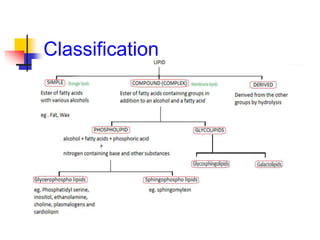 3. Lipids classification and their functions.pdf