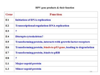 HPV gene products & their function
100
 