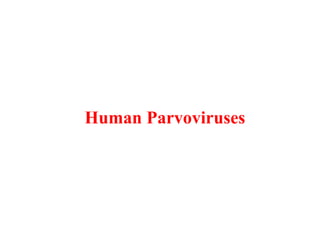 Human Parvoviruses
 