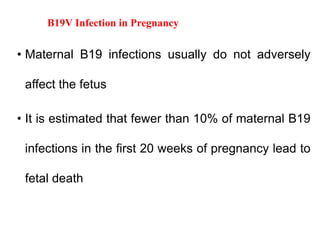 B19V Infection in Pregnancy
• Maternal B19 infections usually do not adversely
affect the fetus
• It is estimated that fewer than 10% of maternal B19
infections in the first 20 weeks of pregnancy lead to
fetal death
 