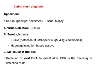 Laboratory diagnosis
Specimens:
 Serum (principal specimen) , Tissue biopsy
A. Virus Detection :Culture
B. Serologic tests
• ELISA (detection of B19-specific IgM & IgG antibodies)
• Haemagglutination-based assays
C. Molecular technique
• Detection of viral DNA by quantitative PCR is the mainstay of
detection of B19
 