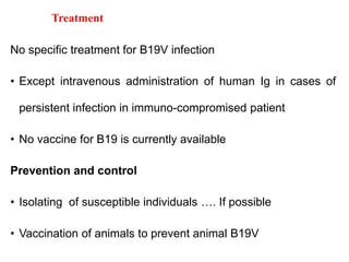 Treatment
No specific treatment for B19V infection
• Except intravenous administration of human Ig in cases of
persistent infection in immuno-compromised patient
• No vaccine for B19 is currently available
Prevention and control
• Isolating of susceptible individuals …. If possible
• Vaccination of animals to prevent animal B19V
 