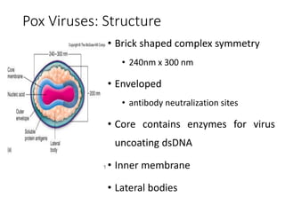 Pox Viruses: Structure
• Brick shaped complex symmetry
• 240nm x 300 nm
• Enveloped
• antibody neutralization sites
• Core contains enzymes for virus
uncoating dsDNA
• Inner membrane
• Lateral bodies
 