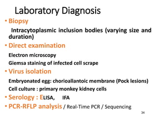 34
Laboratory Diagnosis
• Biopsy
Intracytoplasmic inclusion bodies (varying size and
duration)
• Direct examination
Electron microscopy
Giemsa staining of infected cell scrape
• Virus isolation
Embryonated egg: chorioallantoic membrane (Pock lesions)
Cell culture : primary monkey kidney cells
• Serology : ELISA, IFA
• PCR-RFLP analysis / Real-Time PCR / Sequencing
 