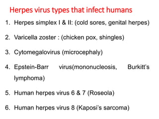 Herpes virus types that infect humans
1. Herpes simplex I & II: (cold sores, genital herpes)
2. Varicella zoster : (chicken pox, shingles)
3. Cytomegalovirus (microcephaly)
4. Epstein-Barr virus(mononucleosis, Burkitt’s
lymphoma)
5. Human herpes virus 6 & 7 (Roseola)
6. Human herpes virus 8 (Kaposi’s sarcoma)
 