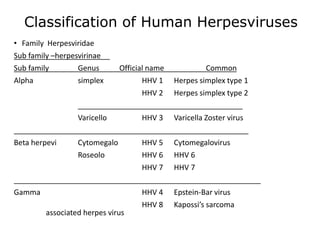 Classification of Human Herpesviruses
• Family Herpesviridae
Sub family –herpesvirinae
Sub family Genus Official name Common
Alpha simplex HHV 1 Herpes simplex type 1
HHV 2 Herpes simplex type 2
________________________________________
Varicello HHV 3 Varicella Zoster virus
_________________________________________________________
Beta herpevi Cytomegalo HHV 5 Cytomegalovirus
Roseolo HHV 6 HHV 6
HHV 7 HHV 7
____________________________________________________________
Gamma HHV 4 Epstein-Bar virus
HHV 8 Kapossi’s sarcoma
associated herpes virus
 