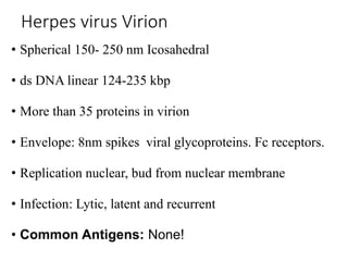 Herpes virus Virion
• Spherical 150- 250 nm Icosahedral
• ds DNA linear 124-235 kbp
• More than 35 proteins in virion
• Envelope: 8nm spikes viral glycoproteins. Fc receptors.
• Replication nuclear, bud from nuclear membrane
• Infection: Lytic, latent and recurrent
• Common Antigens: None!
 