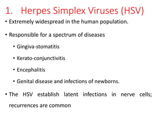 1. Herpes Simplex Viruses (HSV)
• Extremely widespread in the human population.
• Responsible for a spectrum of diseases
• Gingiva-stomatitis
• Kerato-conjunctivitis
• Encephalitis
• Genital disease and infections of newborns.
• The HSV establish latent infections in nerve cells;
recurrences are common
 