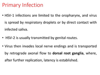 Primary Infection
• HSV-1 infections are limited to the oropharynx, and virus
is spread by respiratory droplets or by direct contact with
infected saliva.
• HSV-2 is usually transmitted by genital routes.
• Virus then invades local nerve endings and is transported
by retrograde axonal flow to dorsal root ganglia, where,
after further replication, latency is established.
 
