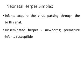 Neonatal Herpes Simplex
• Infants acquire the virus passing through the
birth canal.
• Disseminated herpes - newborns; premature
infants susceptible
 